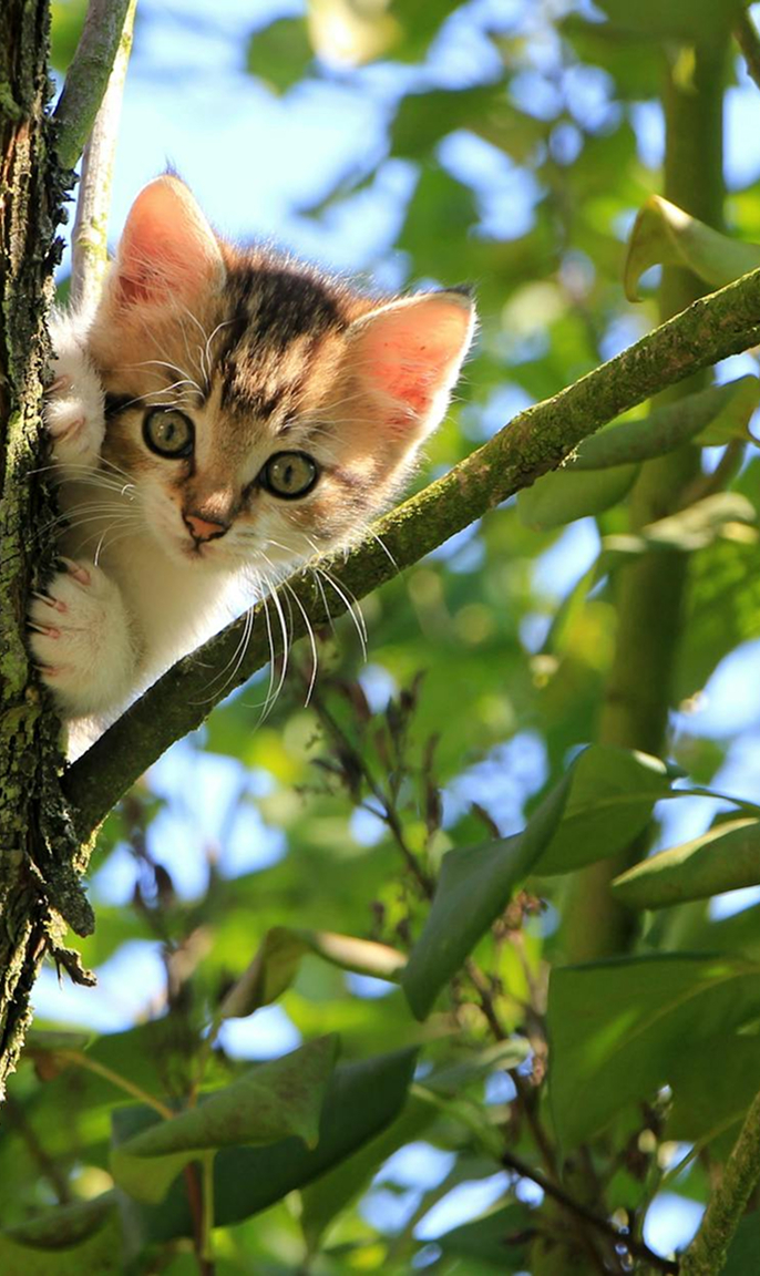 resources-post-caption-mobile