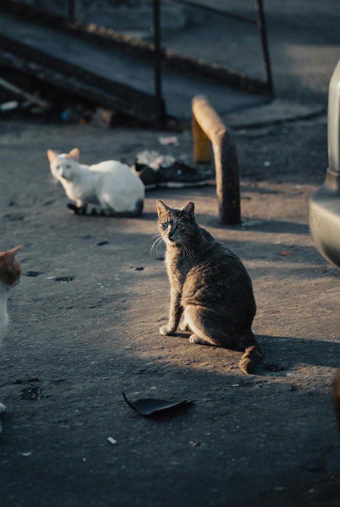 featured-post-thumb-mob