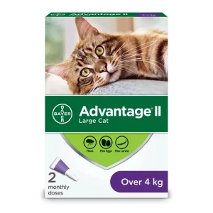 Bayer Advantage II for Cats 2 x 0.8 ml Purple/Violet > 4 kg